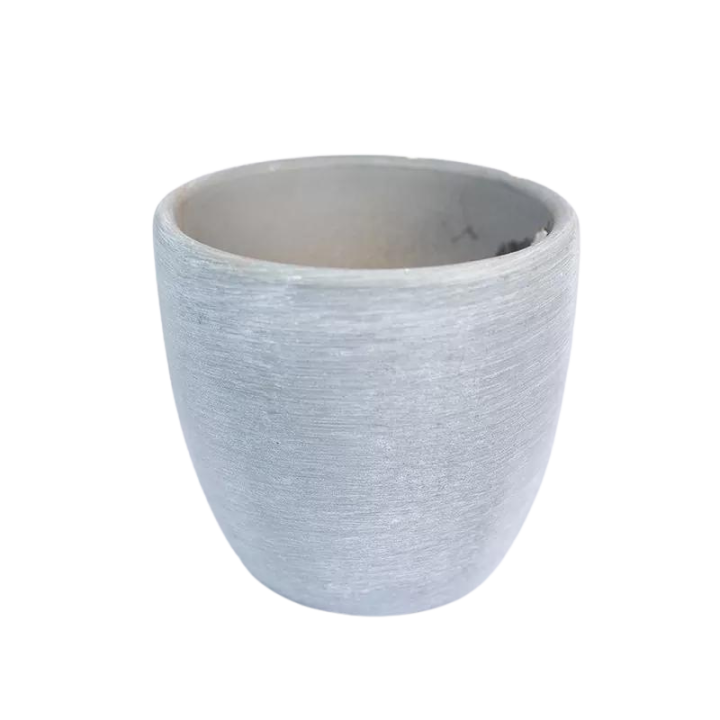 Osłonka Wenus szary struktura | 7 cm