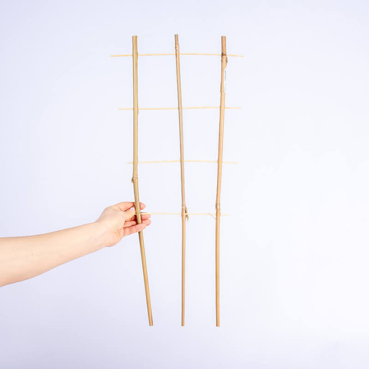 Drabinka bambusowa podwójna| 60 cm