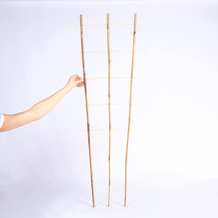 Drabinka bambusowa podwójna | 120 cm