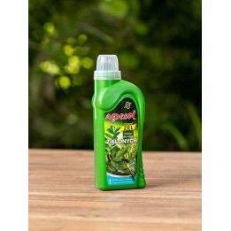 Nawóz do roślin zielonych 500ml